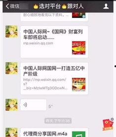 妻子的发财梦,从平凡生活到璀璨辉煌的逆袭之路