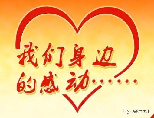 对你，我将奉献全部