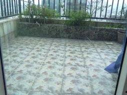 白金年代,辉煌岁月的璀璨回眸