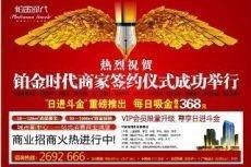 白金年代,辉煌岁月的璀璨回眸