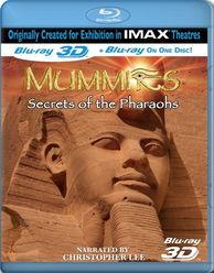 木乃伊之法老的秘密,揭秘古埃及法老木乃伊的神秘面纱