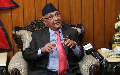 奥利不见了,探寻失踪儿童的背后故事