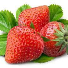 草莓和巧克力,甜蜜邂逅，味蕾盛宴