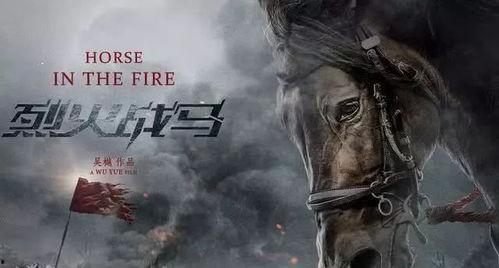 铁骑军魂,驰骋沙场的英勇传奇