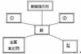 我们关系的基础知识,探索人际交往的奥秘与技巧