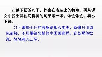 我们关系的基础知识,探索人际交往的奥秘与技巧