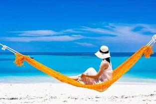 蓄意逐风,探寻风之奥秘的冒险之旅