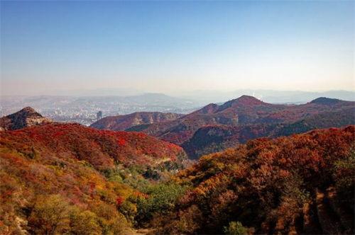 相思月明人倚楼,月明楼倚相思情