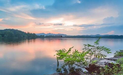 相思月明人倚楼,月明楼倚相思情