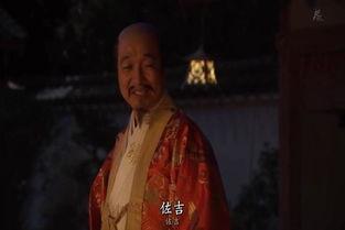 丰臣公主,传奇女性的辉煌与悲歌