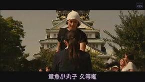 丰臣公主,传奇女性的辉煌与悲歌