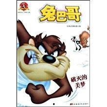 破灭的美梦,现实与幻想的碰撞