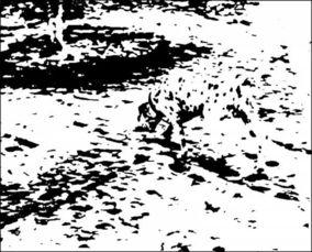 阴影中的真相,探寻隐藏在表象之下的真实世界