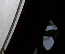 阴影中的真相,探寻隐藏在表象之下的真实世界