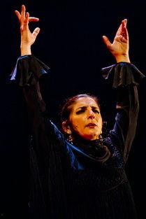 卡米诺,探寻古老贸易路线的传奇与启示