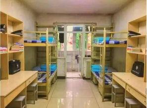 五号男子宿舍 第一季,青春岁月里的友情与成长