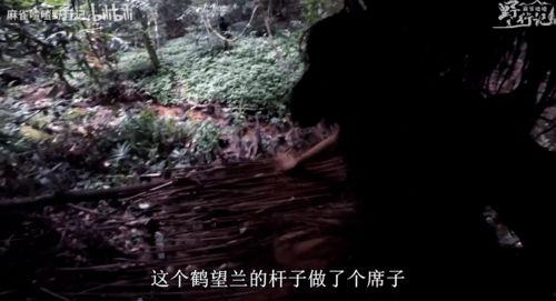 独闯无底洞,探寻未知世界的探险之旅